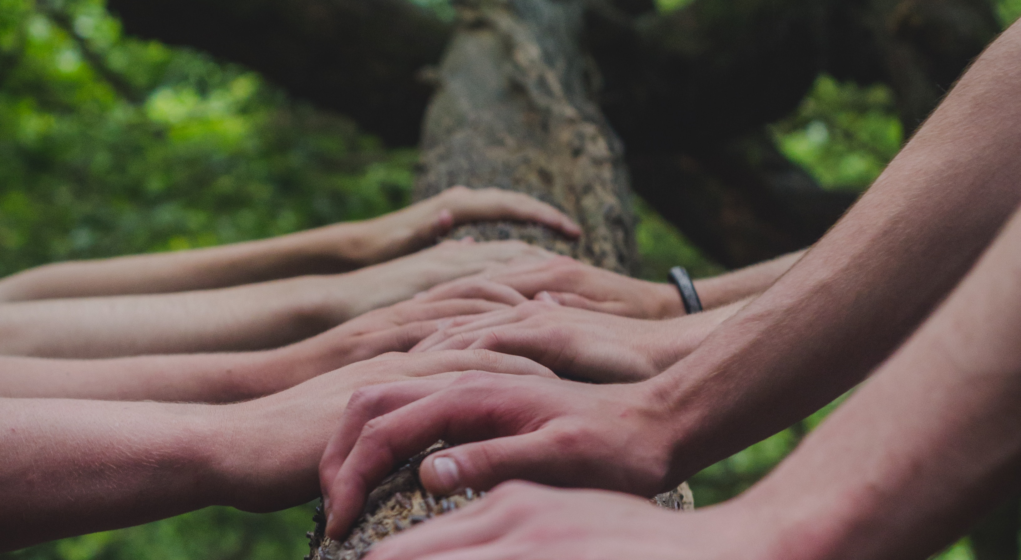 Hands holding a tree trunk as a metaphor for moving the raodblocks that inaccessible websites can be.